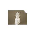 Picture of Blue Pineapple _GroupedProduct_Rectangle_Landscape_Photography _GroupedProduct_Rectangle_Landscape_Unframed_Print_Only_