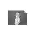 Picture of Blue Pineapple _GroupedProduct_Rectangle_Landscape_Photography _GroupedProduct_Rectangle_Landscape_Unframed_Print_Only_