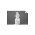 Picture of Blue Pineapple _GroupedProduct_Rectangle_Landscape_Photography _GroupedProduct_Rectangle_Landscape_Unframed_Print_Only_