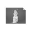 Picture of Blue Pineapple _GroupedProduct_Rectangle_Landscape_Photography _GroupedProduct_Rectangle_Landscape_Unframed_Print_Only_