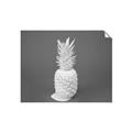Picture of Blue Pineapple _GroupedProduct_Rectangle_Landscape_Photography _GroupedProduct_Rectangle_Landscape_Unframed_Print_Only_