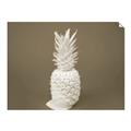 Picture of Blue Pineapple _GroupedProduct_Rectangle_Landscape_Photography _GroupedProduct_Rectangle_Landscape_Unframed_Print_Only_