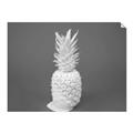 Picture of Blue Pineapple _GroupedProduct_Rectangle_Landscape_Photography _GroupedProduct_Rectangle_Landscape_Unframed_Print_Only_