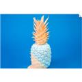 Picture of Blue Pineapple _GroupedProduct_Rectangle_Landscape_Photography _GroupedProduct_Rectangle_Landscape_Unframed_Print_Only_