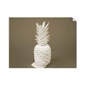 Picture of Blue Pineapple _GroupedProduct_Rectangle_Landscape_Photography _GroupedProduct_Rectangle_Landscape_Unframed_Print_Only_