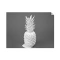 Picture of Blue Pineapple _GroupedProduct_Rectangle_Landscape_Photography _GroupedProduct_Rectangle_Landscape_Unframed_Print_Only_