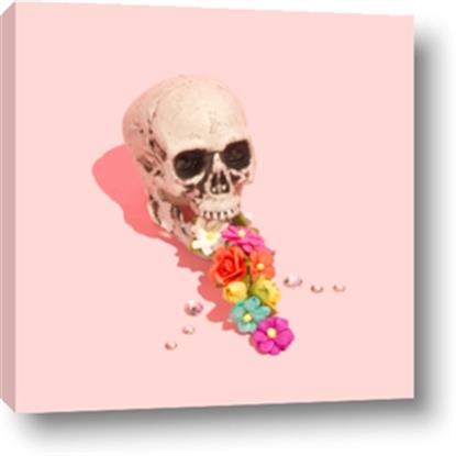 Picture of Happy Skull