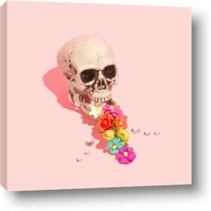 Picture of Happy Skull