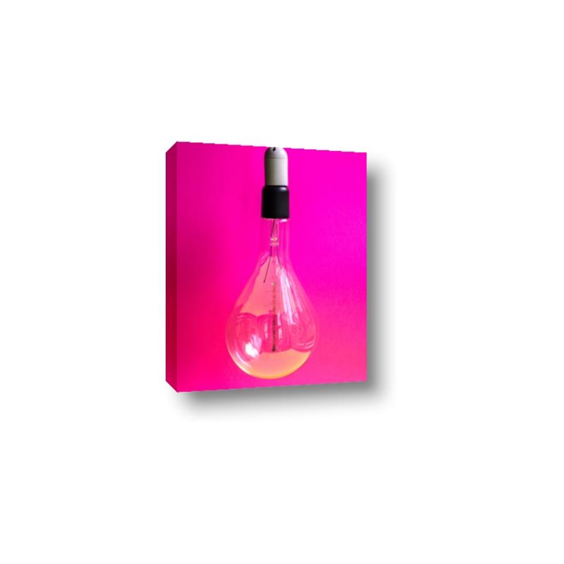 Picture of Hot Pink Light Bulb _GroupedProduct_Rectangle_Portrait_Photography _GroupedProduct_Rectangle_Portrait_Canvas_