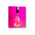 Picture of Hot Pink Light Bulb _GroupedProduct_Rectangle_Portrait_Photography _GroupedProduct_Rectangle_Portrait_Canvas_