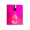 Picture of Hot Pink Light Bulb _GroupedProduct_Rectangle_Portrait_Photography _GroupedProduct_Rectangle_Portrait_Canvas_