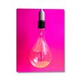 Picture of Hot Pink Light Bulb _GroupedProduct_Rectangle_Portrait_Photography _GroupedProduct_Rectangle_Portrait_Canvas_