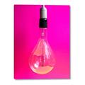 Picture of Hot Pink Light Bulb _GroupedProduct_Rectangle_Portrait_Photography _GroupedProduct_Rectangle_Portrait_Canvas_