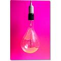 Picture of Hot Pink Light Bulb _GroupedProduct_Rectangle_Portrait_Photography _GroupedProduct_Rectangle_Portrait_Canvas_