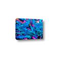Picture of Graffiti Wall _GroupedProduct_Rectangle_Landscape_Photography _GroupedProduct_Rectangle_Landscape_Canvas_