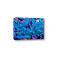 Picture of Graffiti Wall _GroupedProduct_Rectangle_Landscape_Photography _GroupedProduct_Rectangle_Landscape_Canvas_
