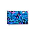 Picture of Graffiti Wall _GroupedProduct_Rectangle_Landscape_Photography _GroupedProduct_Rectangle_Landscape_Canvas_