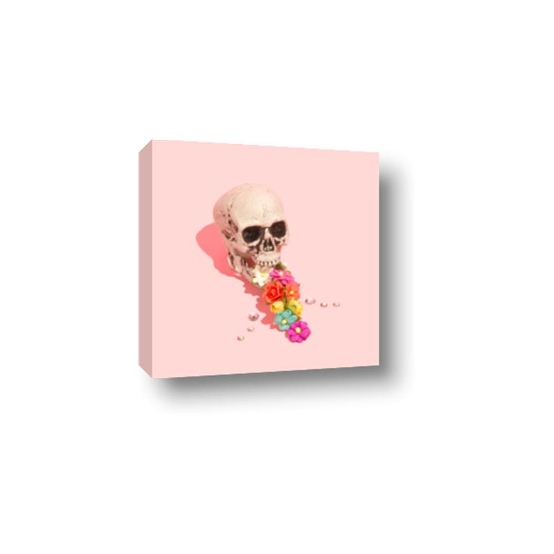 Picture of Happy Skull _GroupedProduct_Square_Photography _GroupedProduct_Square_Canvas_
