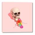 Picture of Happy Skull _GroupedProduct_Square_Photography _GroupedProduct_Square_Canvas_