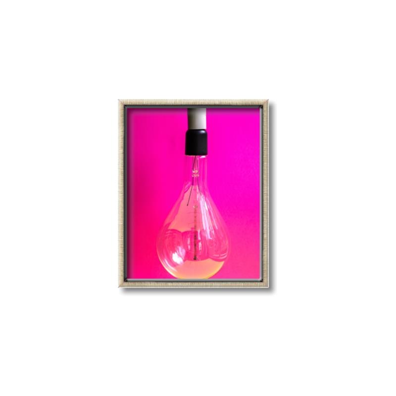 Picture of Hot Pink Light Bulb _GroupedProduct_Rectangle_Portrait_Photography _GroupedProduct_Rectangle_Portrait_Canvas_Framed_