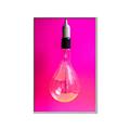 Picture of Hot Pink Light Bulb _GroupedProduct_Rectangle_Portrait_Photography _GroupedProduct_Rectangle_Portrait_Canvas_Framed_