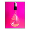 Picture of Hot Pink Light Bulb _GroupedProduct_Rectangle_Portrait_Photography _GroupedProduct_Rectangle_Portrait_Canvas_Framed_