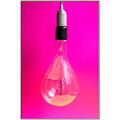 Picture of Hot Pink Light Bulb _GroupedProduct_Rectangle_Portrait_Photography _GroupedProduct_Rectangle_Portrait_Canvas_Framed_