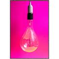 Picture of Hot Pink Light Bulb _GroupedProduct_Rectangle_Portrait_Photography _GroupedProduct_Rectangle_Portrait_Canvas_Framed_