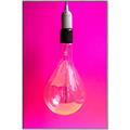 Picture of Hot Pink Light Bulb _GroupedProduct_Rectangle_Portrait_Photography _GroupedProduct_Rectangle_Portrait_Canvas_Framed_