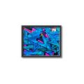 Picture of Graffiti Wall _GroupedProduct_Rectangle_Landscape_Photography _GroupedProduct_Rectangle_Landscape_Canvas_Framed_