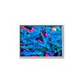 Picture of Graffiti Wall _GroupedProduct_Rectangle_Landscape_Photography _GroupedProduct_Rectangle_Landscape_Canvas_Framed_