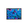 Picture of Graffiti Wall _GroupedProduct_Rectangle_Landscape_Photography _GroupedProduct_Rectangle_Landscape_Canvas_Framed_