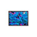 Picture of Graffiti Wall _GroupedProduct_Rectangle_Landscape_Photography _GroupedProduct_Rectangle_Landscape_Canvas_Framed_