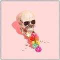 Picture of Happy Skull _GroupedProduct_Square_Photography _GroupedProduct_Square_Canvas_Framed_