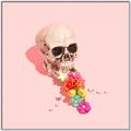 Picture of Happy Skull _GroupedProduct_Square_Photography _GroupedProduct_Square_Canvas_Framed_