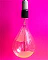Picture of Hot Pink Light Bulb _GroupedProduct_Rectangle_Portrait_Photography _GroupedProduct_Rectangle_Portrait_Unframed_Print_Only_
