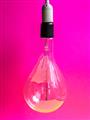 Picture of Hot Pink Light Bulb _GroupedProduct_Rectangle_Portrait_Photography _GroupedProduct_Rectangle_Portrait_Unframed_Print_Only_