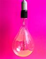 Picture of Hot Pink Light Bulb _GroupedProduct_Rectangle_Portrait_Photography _GroupedProduct_Rectangle_Portrait_Unframed_Print_Only_