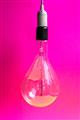 Picture of Hot Pink Light Bulb _GroupedProduct_Rectangle_Portrait_Photography _GroupedProduct_Rectangle_Portrait_Unframed_Print_Only_