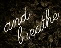 Picture of And Breathe _GroupedProduct_Rectangle_Landscape_Photography _GroupedProduct_Rectangle_Landscape_Unframed_Print_Only_
