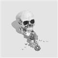 Picture of Happy Skull _GroupedProduct_Square_Photography _GroupedProduct_Square_Unframed_Print_Only_