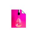 Picture of Hot Pink Light Bulb _GroupedProduct_Rectangle_Portrait_Photography _GroupedProduct_Rectangle_Portrait_Unframed_Print_Only_
