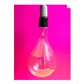 Picture of Hot Pink Light Bulb _GroupedProduct_Rectangle_Portrait_Photography _GroupedProduct_Rectangle_Portrait_Unframed_Print_Only_