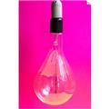 Picture of Hot Pink Light Bulb _GroupedProduct_Rectangle_Portrait_Photography _GroupedProduct_Rectangle_Portrait_Unframed_Print_Only_