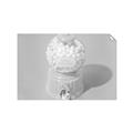 Picture of Bubble Gum Machine _GroupedProduct_Rectangle_Landscape_Photography _GroupedProduct_Rectangle_Landscape_Unframed_Print_Only_