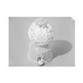Picture of Bubble Gum Machine _GroupedProduct_Rectangle_Landscape_Photography _GroupedProduct_Rectangle_Landscape_Unframed_Print_Only_