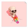 Picture of Happy Skull _GroupedProduct_Square_Photography _GroupedProduct_Square_Unframed_Print_Only_