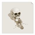 Picture of Happy Skull _GroupedProduct_Square_Photography _GroupedProduct_Square_Unframed_Print_Only_