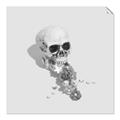 Picture of Happy Skull _GroupedProduct_Square_Photography _GroupedProduct_Square_Unframed_Print_Only_