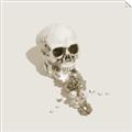 Picture of Happy Skull _GroupedProduct_Square_Photography _GroupedProduct_Square_Unframed_Print_Only_